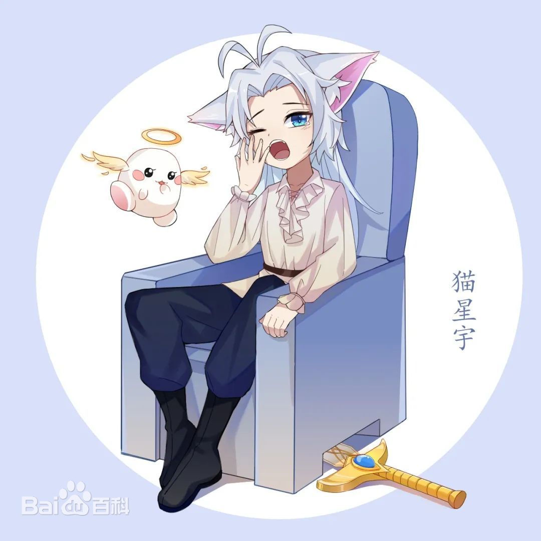 猫星宇